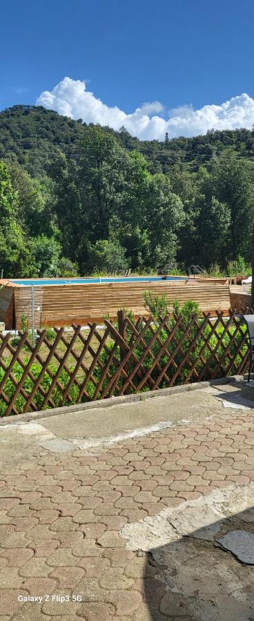 La Caravane Le Nid Douillet Ponte-Leccia Exterior photo